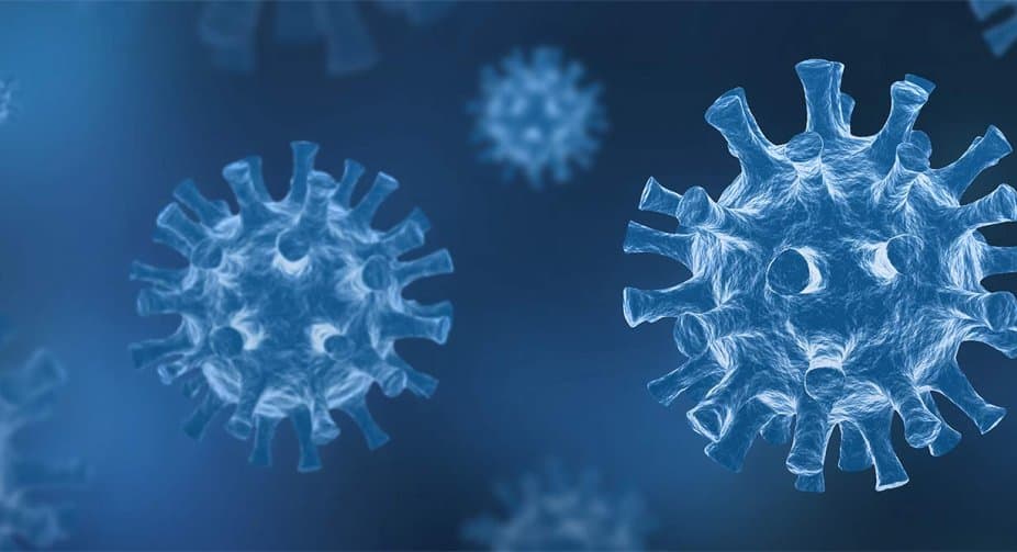 Georgia records 4,775 new cases of Covid of 18,351 tests