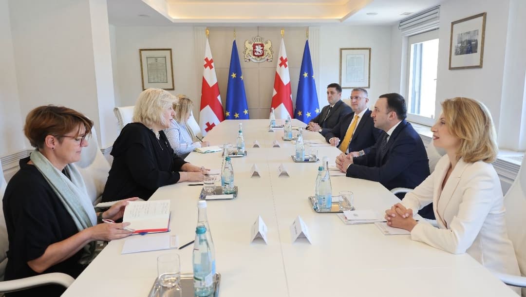 ირაკლი ღარიბაშვილი ევროპის საბჭოს ადამიანის უფლებათა დაცვის კომისარს შეხვდა