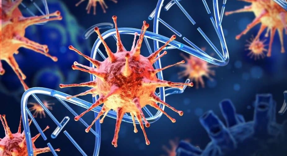 Coronavirus: daily cases stand at 13,150, active cases reach 151,139