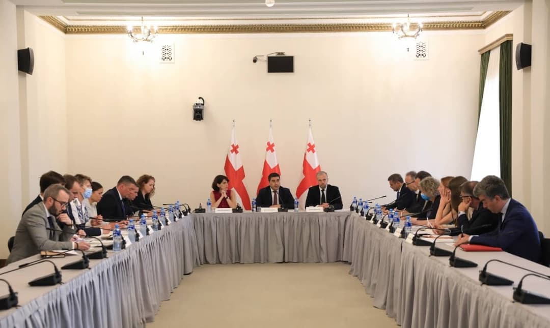 შალვა პაპუაშვილი ევროკავშირის წევრი ქვეყნების ელჩებს და საელჩოების წარმომადგენლებს შეხვდა