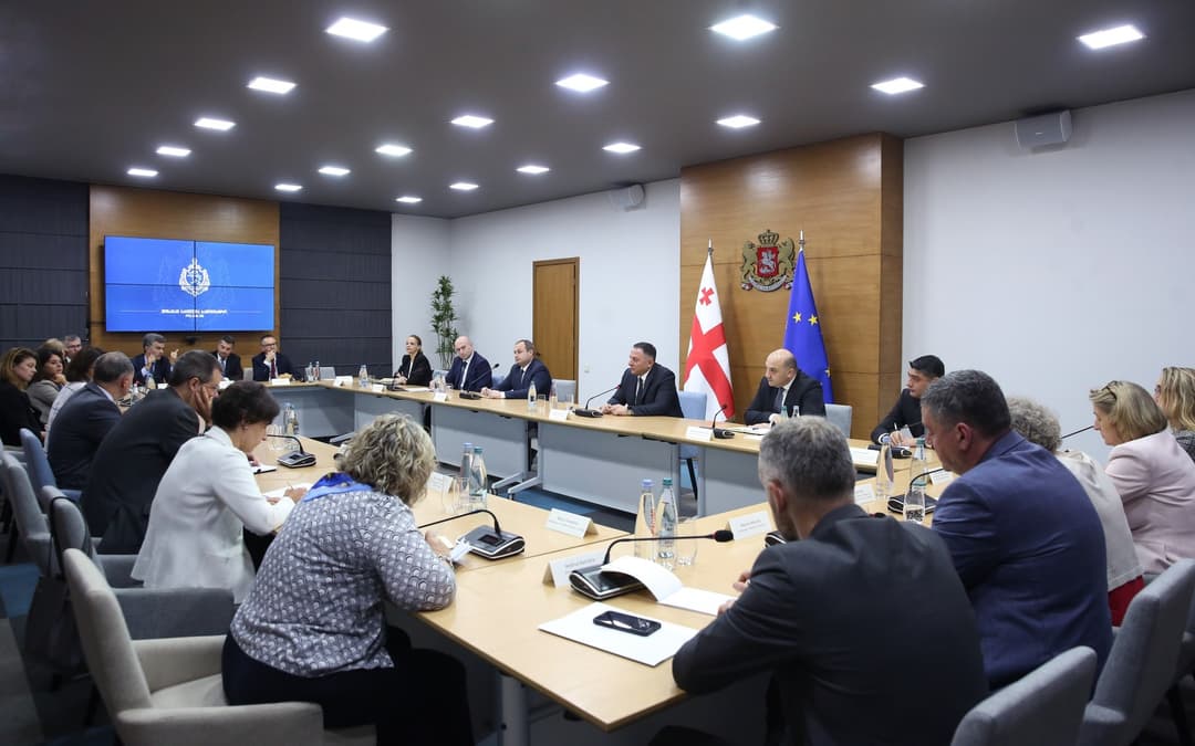 ვახტანგ გომელაური პაველ ჰერჩინსკის, ევროკავშირის წევრი ქვეყნების ელჩებსა და საელჩოების წარმომადგენლებს შეხვდა