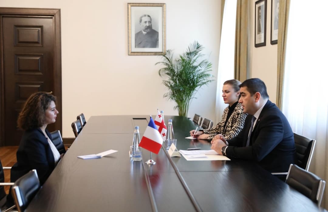 შალვა პაპუაშვილი საფრანგეთის რესპუბლიკის ახლადდანიშნულ ელჩს შეხვდა