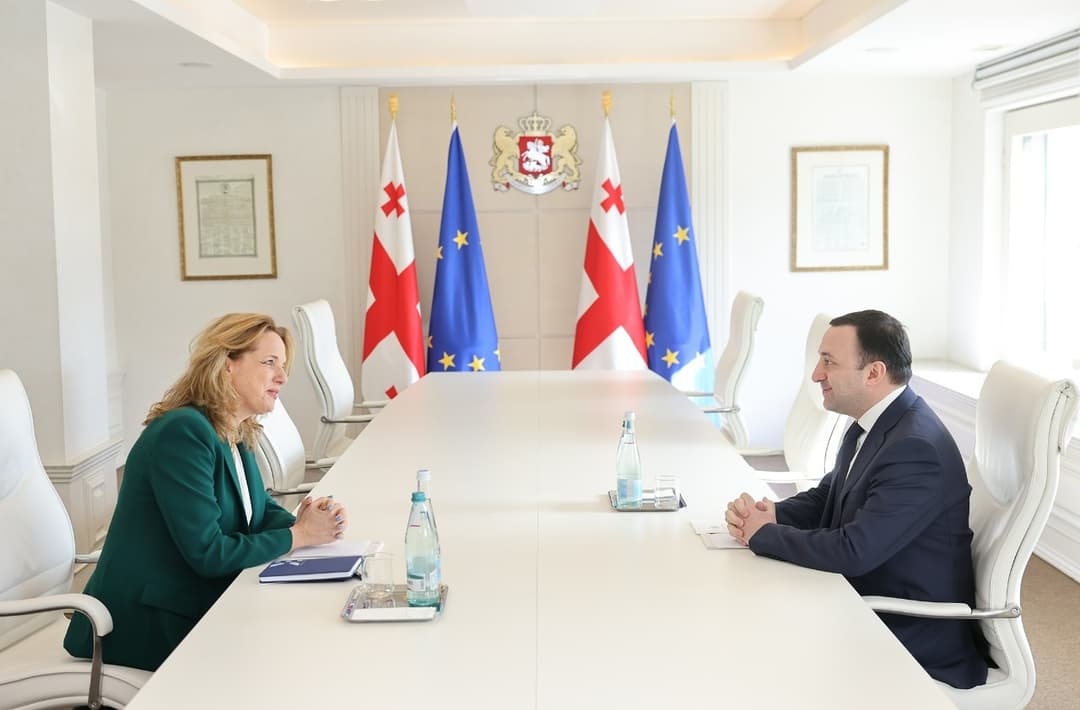 ირაკლი ღარიბაშვილი ისრაელის ელჩს შეხვდა