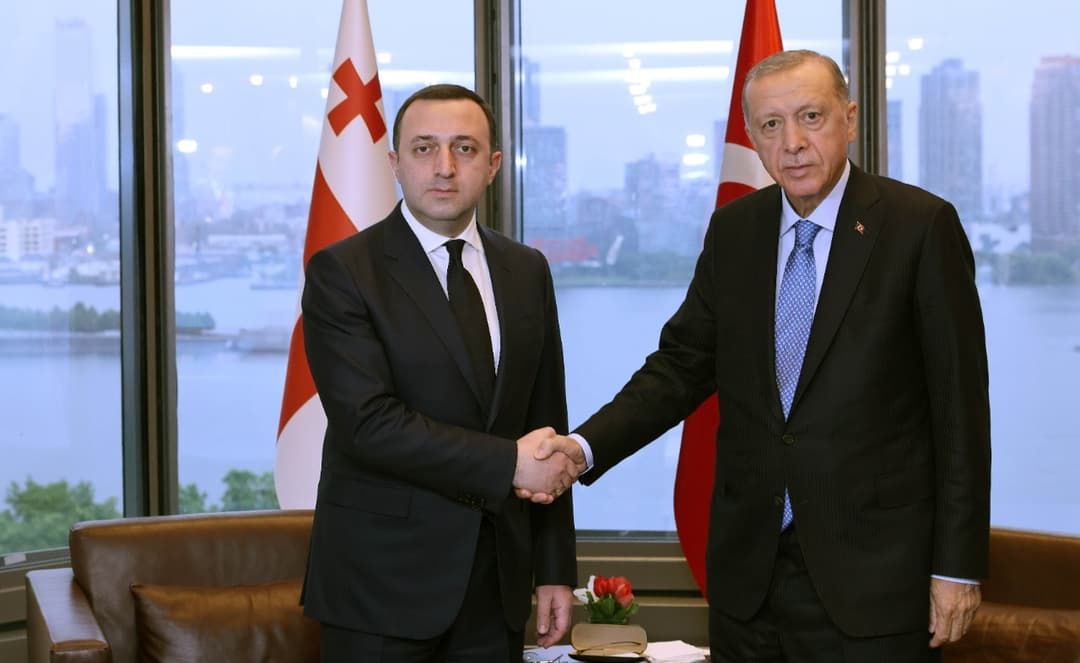 Georgian PM, Turkish president meet, discuss strategic partnership, economic relations
