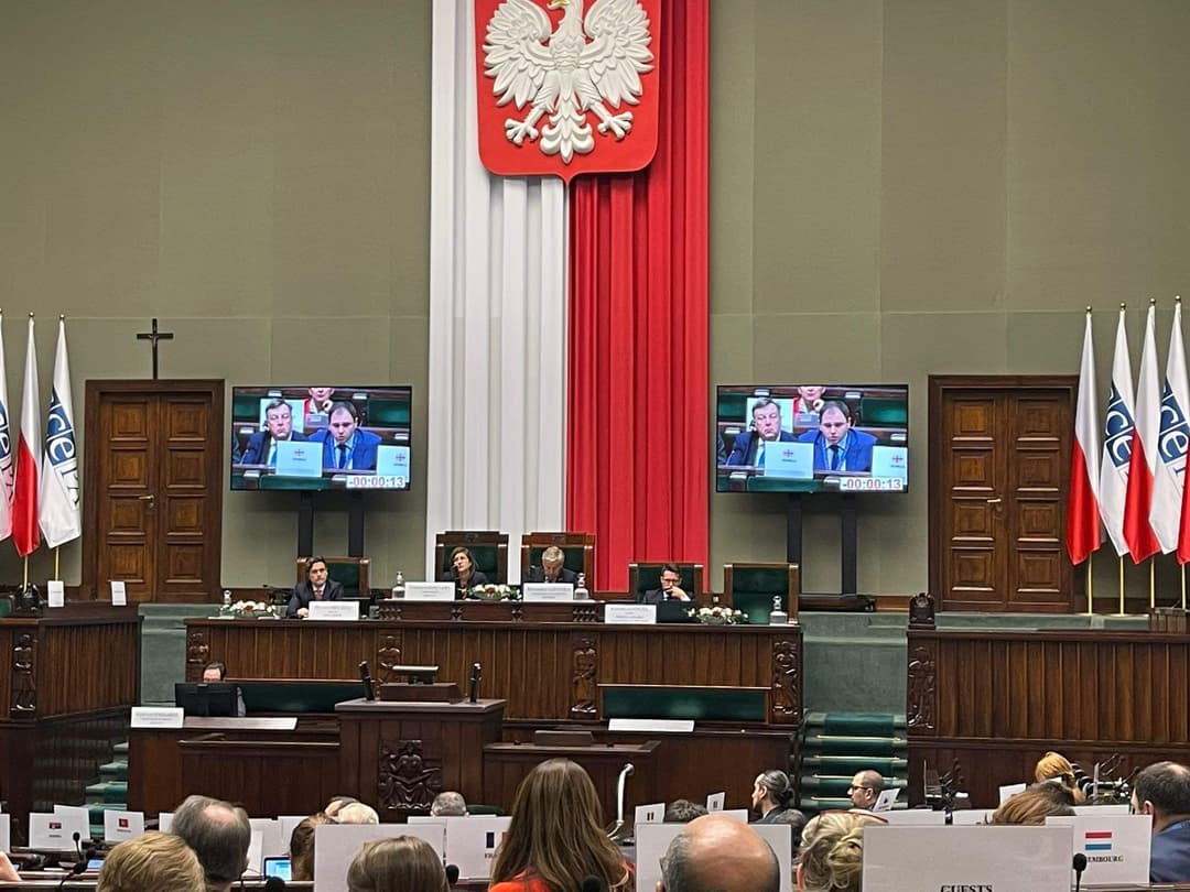 ნიკოლოზ სამხარაძე – რუსეთის ფედერაციას ოკუპირებულ რეგიონებში დამყარებული აქვს აპართეიდის რეჟიმი, სადაც ეთნიკური ნიშნით ქართველების დისკრიმინაცია გრძელდება