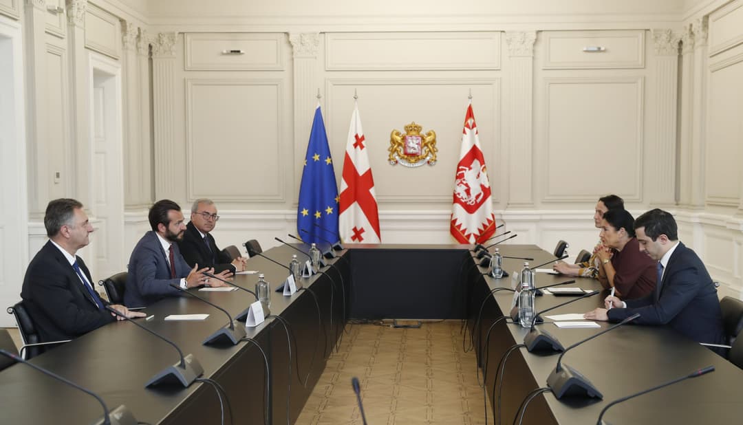 სალომე ზურაბიშვილი ადამიანის უფლებათა ევროპული სასამართლოს პრეზიდენტს შეხვდა