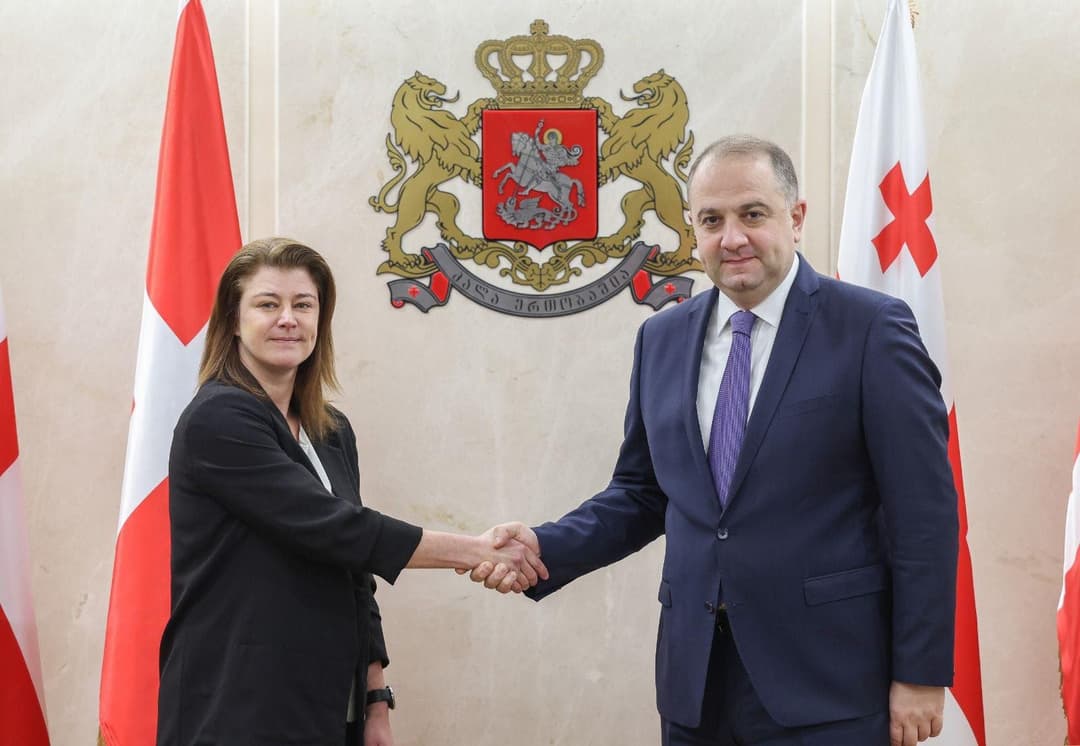 ირაკლი ჩიქოვანი დანიის სამეფოს ელჩს და თავდაცვის ატაშეს შეხვდა