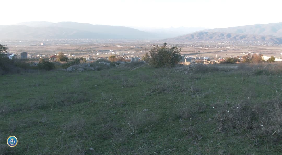 დიდი ოდენობით სახელმწიფო ქონების მოტყუებით დაუფლების ფაქტზე შვიდი პირი ამხილეს