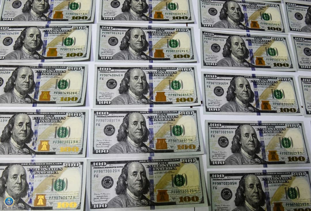 ყალბი ვალუტის გასაღების ფაქტზე ერთი პირი დააკავეს