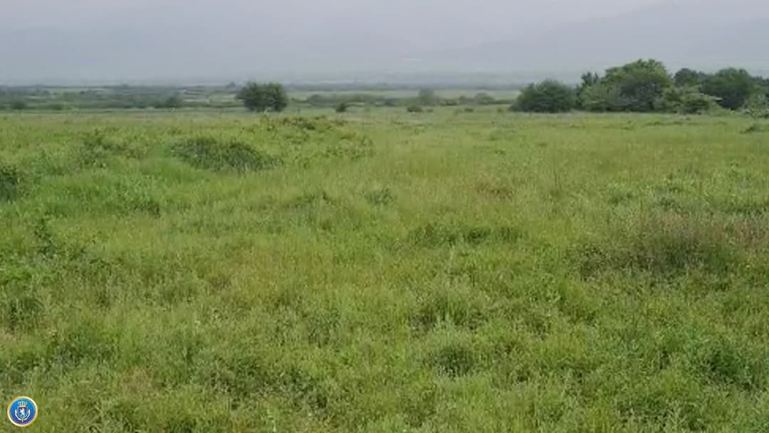 სხვისი ქონების თაღლითურად დაუფლების ფაქტზე ერთი პირი დააკავეს