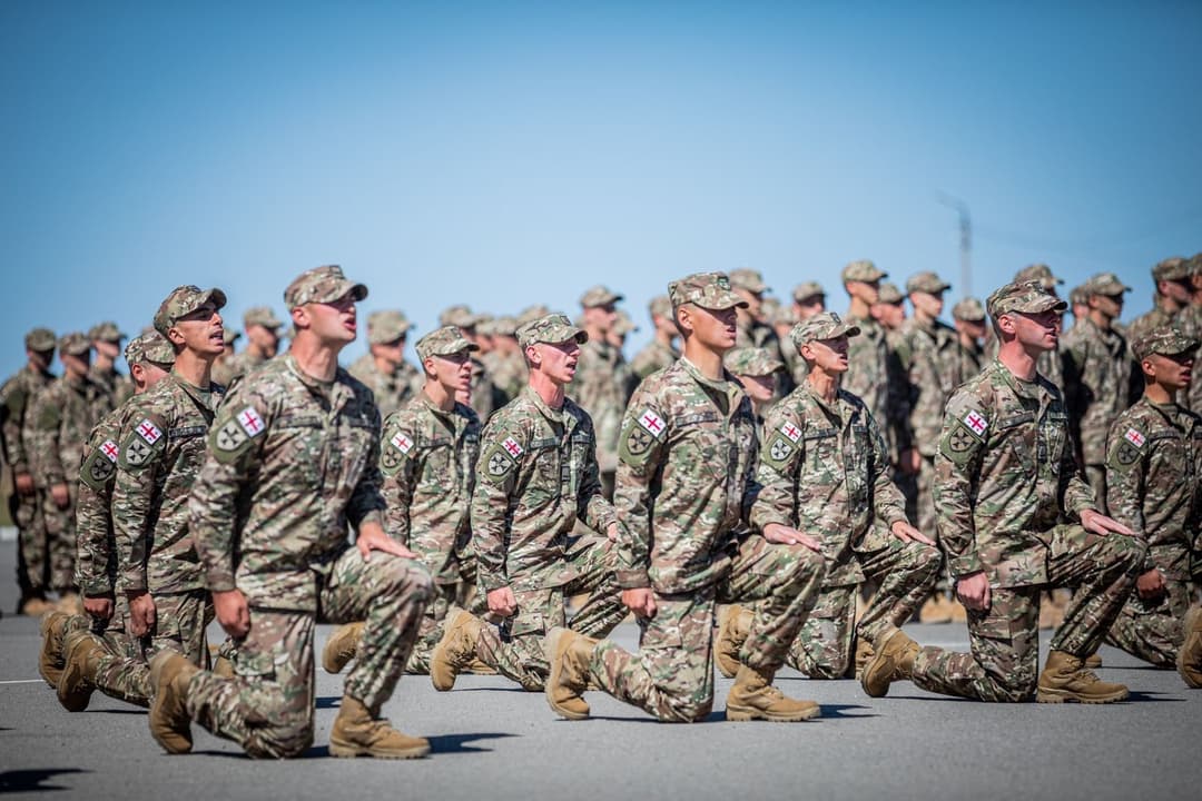 საქართველოს თავდაცვის ძალებს სამხედრო მოსამსახურეების მორიგი ნაკადი შეემატა