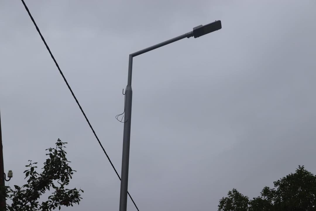 ბორჯომში გარე განათების ქსელის რეაბილიტაცია იგეგმება