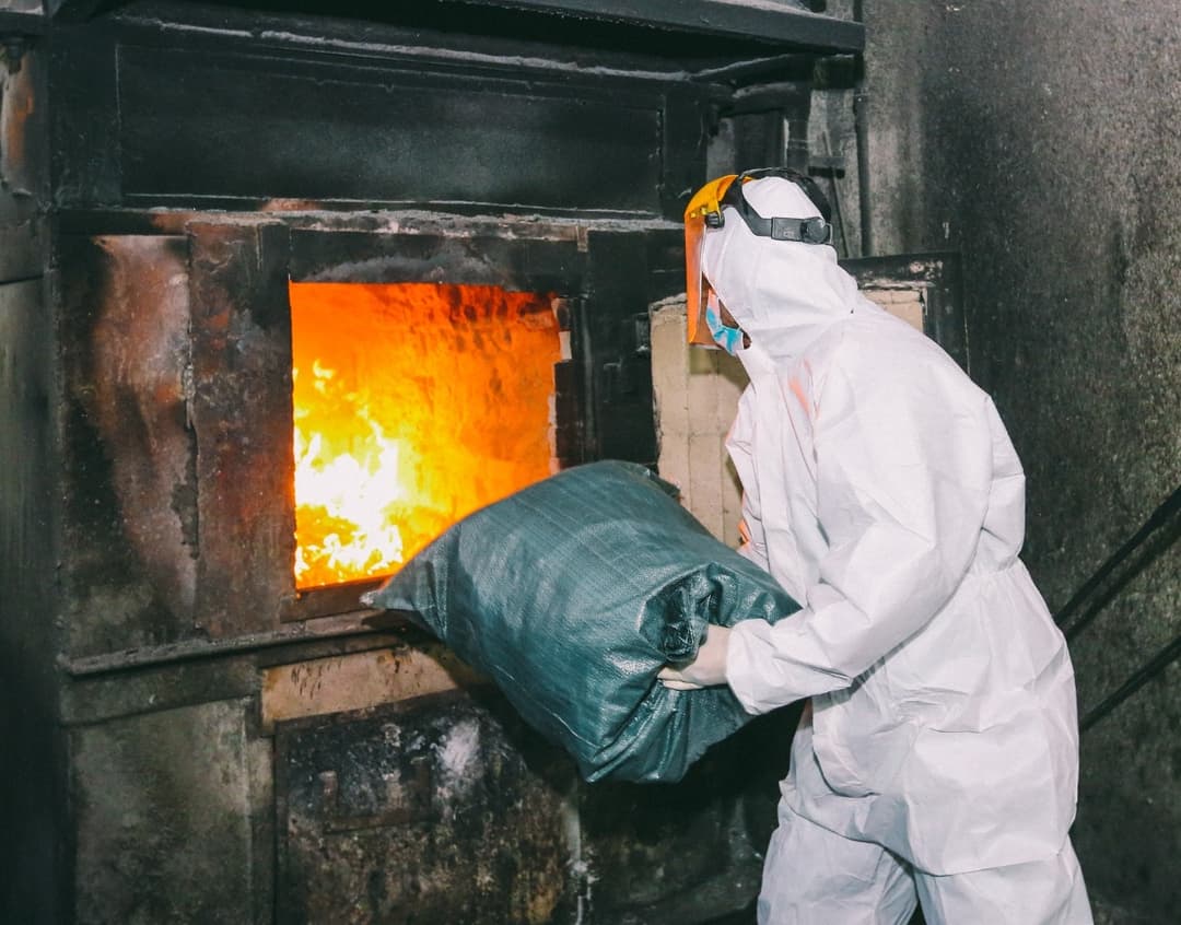 შსს-მ უკანონო ბრუნვიდან ამოღებული 37 მილიონ ლარზე მეტი ღირებულების ნარკოტიკული საშუალებები გაანადგურა