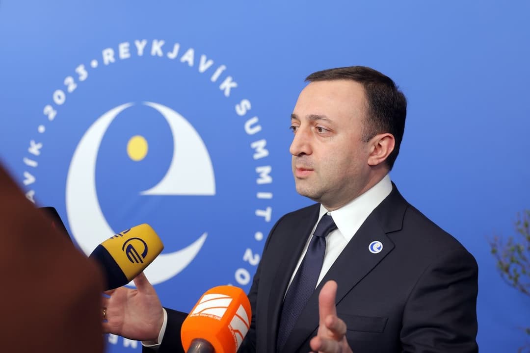 We do not expect any other decision than EU candidacy – PM at CoE summit