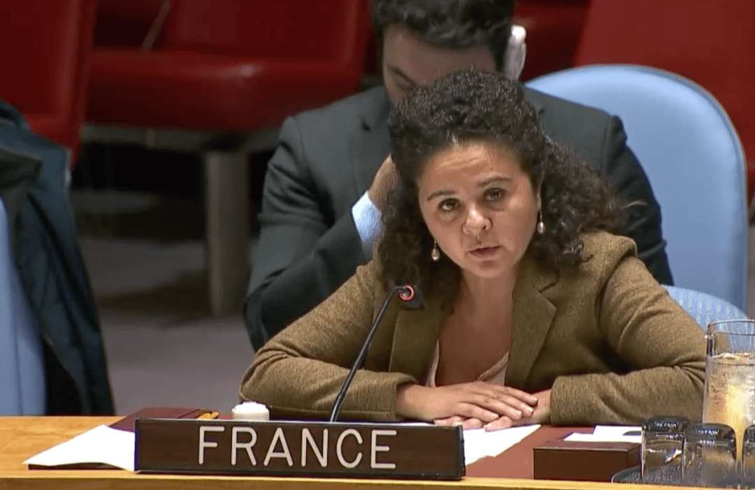 French Ambassador calls for release of detained Georgian media founder Mzia Amaglobeli