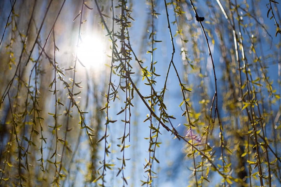 18-20 ივლისს მოსალოდნელი ამინდი საქართველოში
