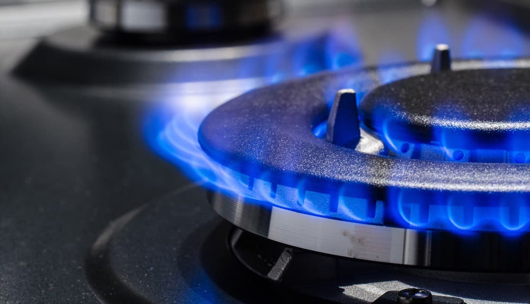 რუსთავში გაზით ინტოქსიკაციით დედა-შვილი დაიღუპა