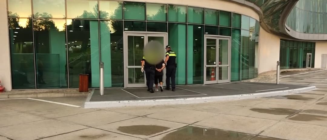 გენდერული იდენტობის ნიშნით შეუწყნარებლობის მოტივით ჩადენილ ძალადობის ფაქტზე ორი პირი დააკავეს