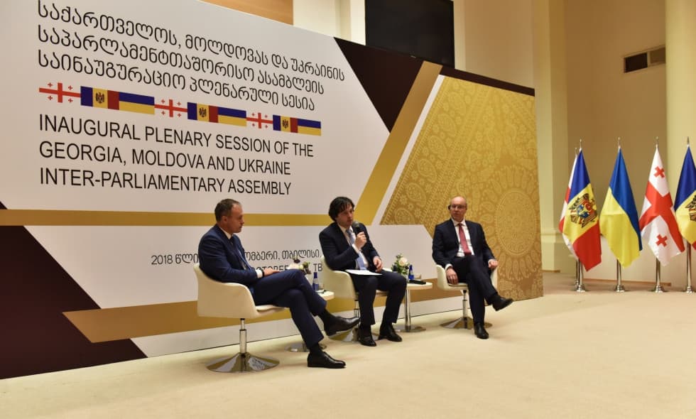 საქართველოს, მოლდოვასა და უკრაინის საპარლამენტთაშორისო ასამბლეის პლენარული სესიის ფარგლებში, დახურული პანელური დისკუსია გაიმართა