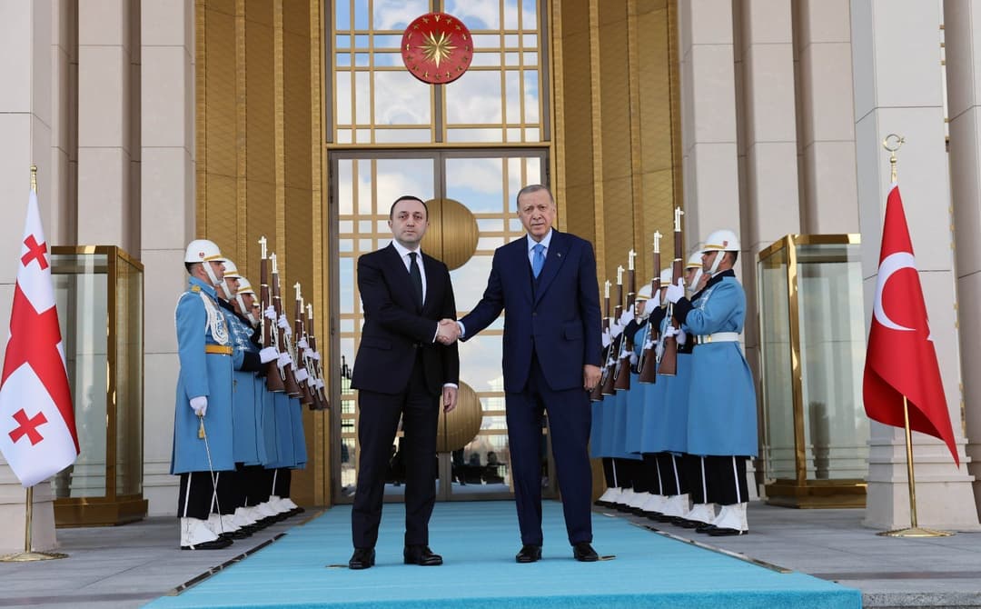 Georgian PM personally extends sympathies to Turkish president over deadly quake