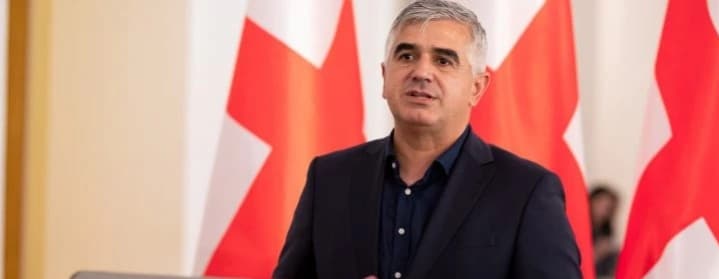 გიორგი ბოტკოველი – მათი განცხადებები ერთადერთ რამეს ემსახურება, რომ რამენაირად ქვეყნის დემოკრატიული პროცესი ჩაქრეს