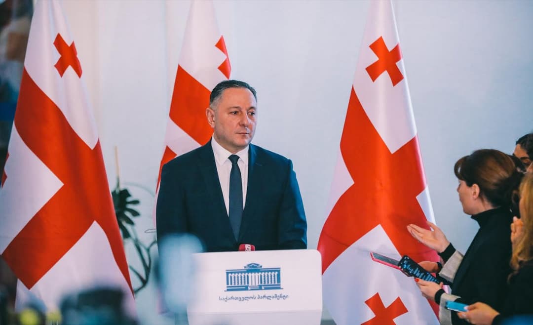 40 arrested at rally against transparency bill in Georgia, minister reveals