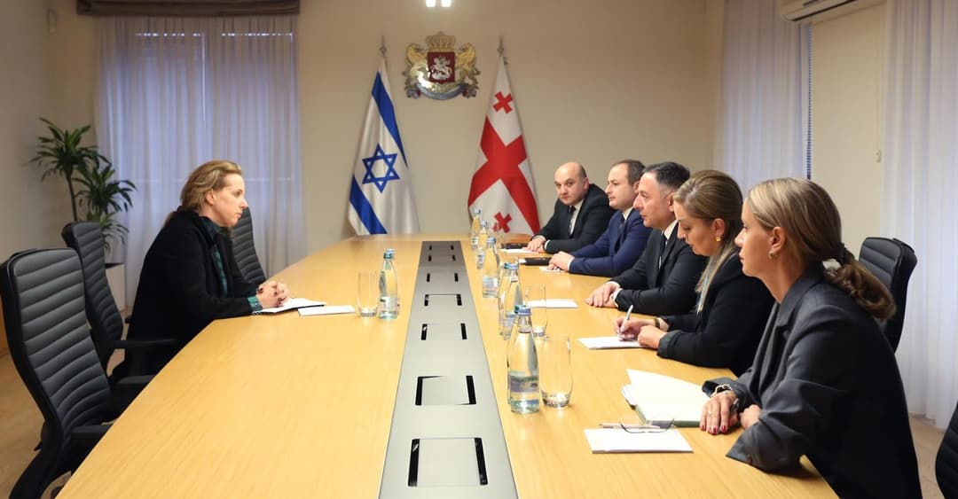 ვახტანგ გომელაური ისრაელის ელჩს შეხვდა