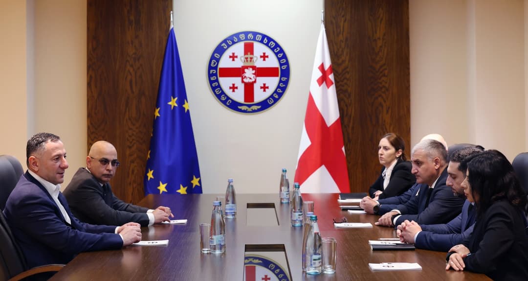 ვახტანგ გომელაურმა ეროვნული უსაფრთხოების საბჭოს აპარატის უფროსი წარადგინა