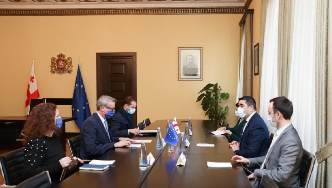 შალვა პაპუაშვილი ევროკავშირის ელჩს კარლ ჰარცელს შეხვდა