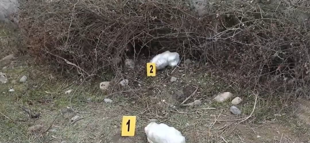 სასაზღვრო პოლიციამ 10 კილოზე მეტი ”ჰეროინი” ამოიღო – დაკავებულია უცხო ქვეყნის 2 მოქალაქე