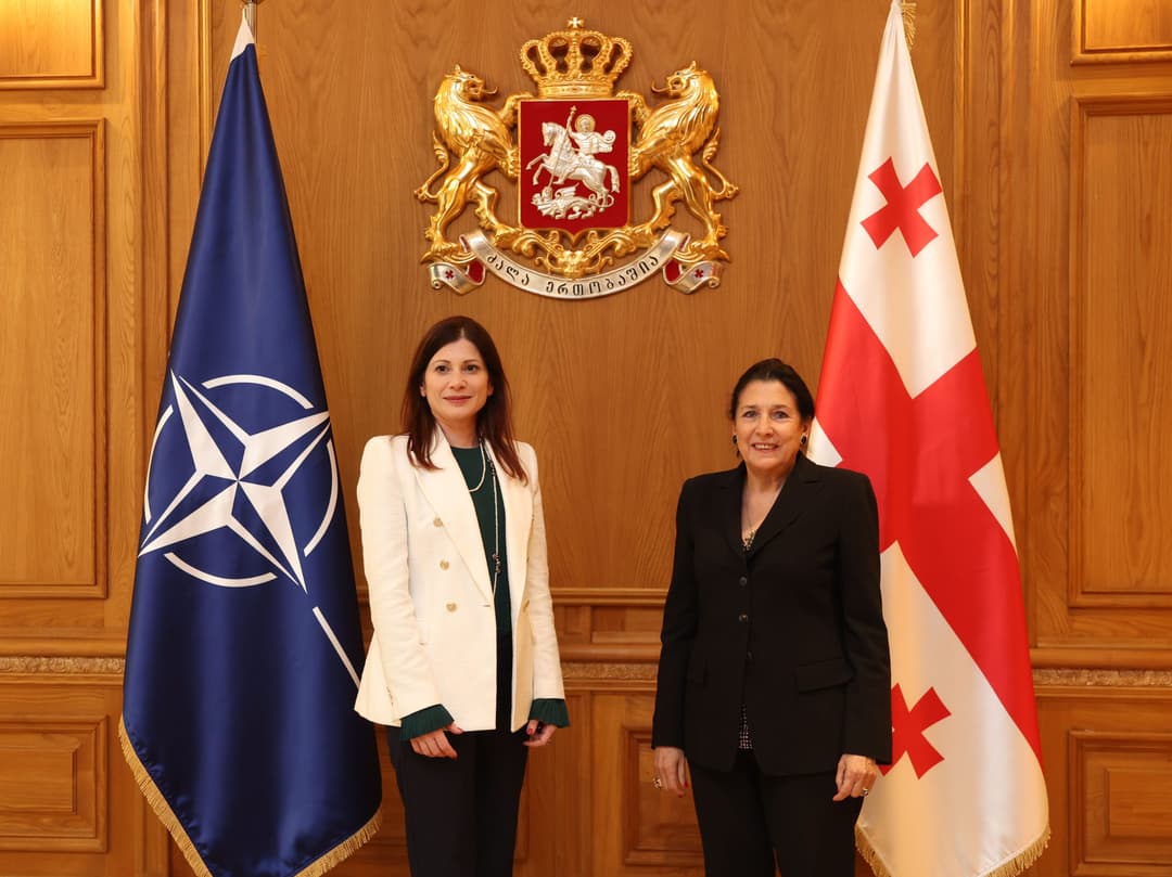 სალომე ზურაბიშვილი ირენ ფელინს შეხვდა