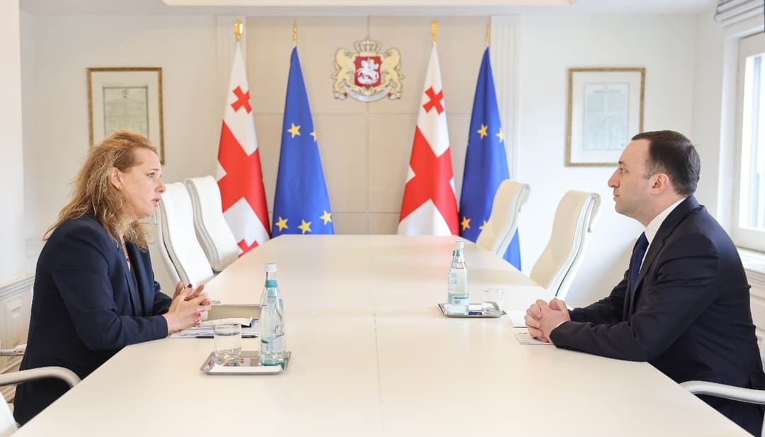 ირაკლი ღარიბაშვილი ისრაელის ელჩს შეხვდა