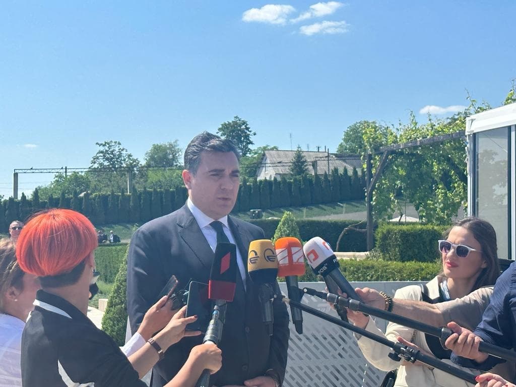 ილია დარჩიაშვილი – დარწმუნებული ვარ, რომ ერთადერთ სწორ და რაციონალურ გადაწყვეტილებას მიიღებენ ჩვენი ევროპელი პარტნიორები