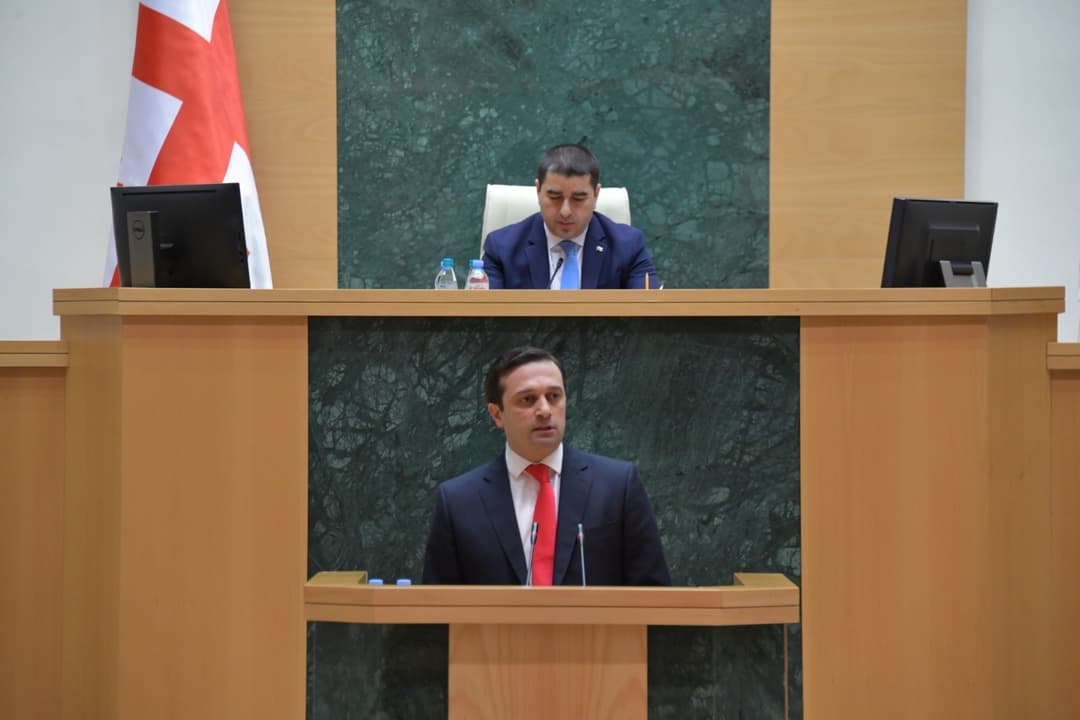 Citizens opposition MP Ioseliani elected as Georgia’s new public defender