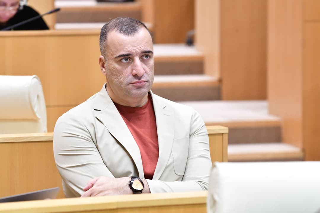 რატი იონათამიშვილი – ამნისტია შეეხება სისხლის სამართლის კოდექსის 66 მუხლით გათვალისწინებულ დანაშაულს