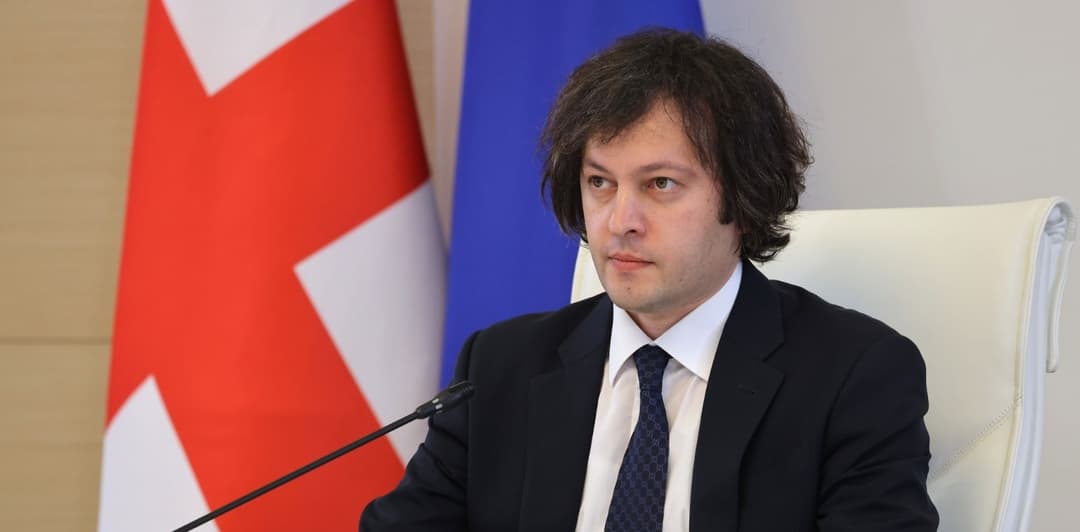 Georgian PM says he accused former US Ambassador of backing revolutionary scenarios