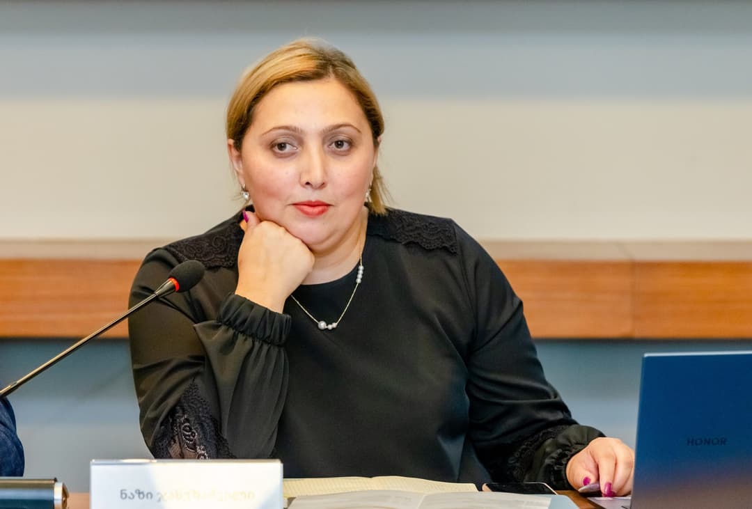 ნაზი ჯანეზაშვილი – პარლამენტმა იუსტიციის უმაღლესი საბჭოს ორი არამოსამართლე წევრი აირჩია, ერთ-ერთი საკონსტიტუციოს მოსამართლის შვილია