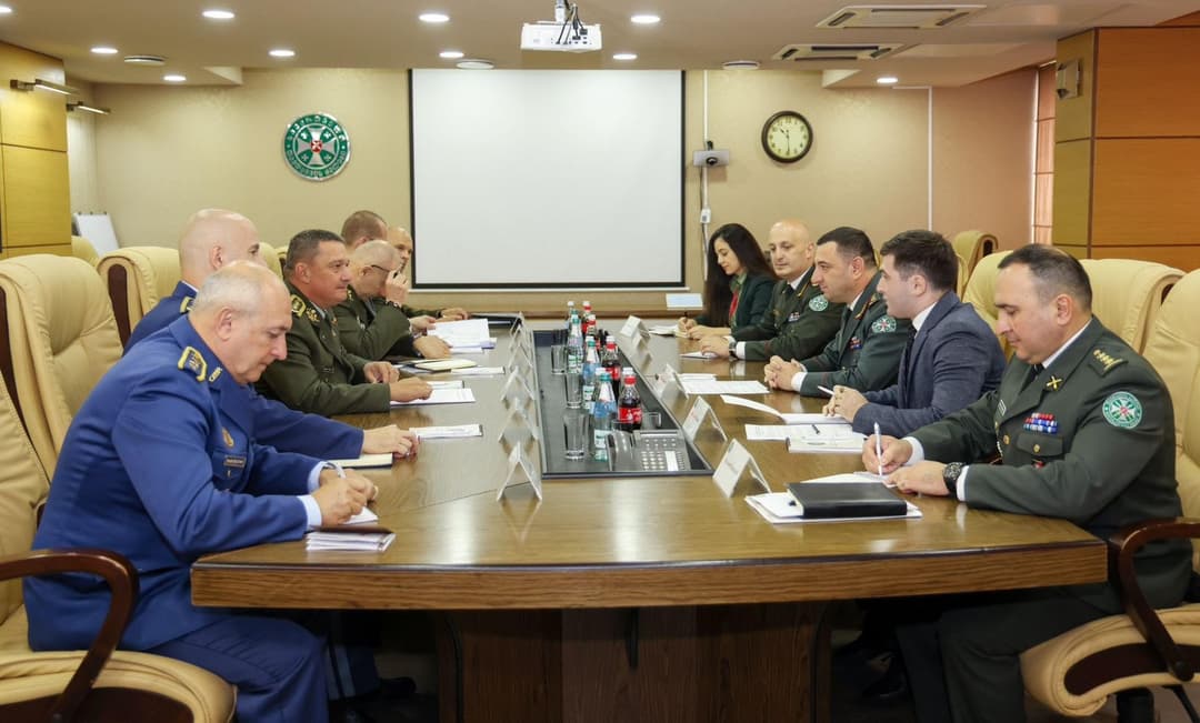 საქართველოს თავდაცვის ძალების მეთაური სლოვაკ კოლეგას შეხვდა