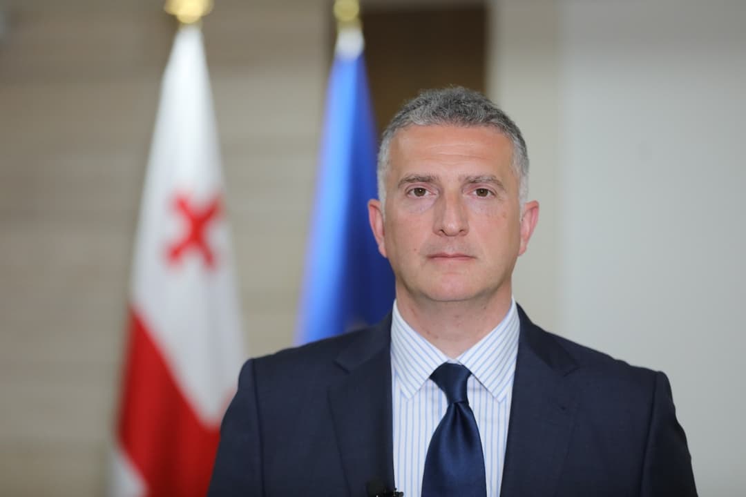 რევაზ ჯაველიძე – მთავრობა ელჩების და დიპლომატიური წარმომადგენლობის ხელმძღვანელების დანიშვნა-გათავისუფლებაზე პრეზიდენტსა და მთავრობას შორის უფლებამოსილებების გამიჯვნის თაობაზე საკონსტიტუციო სასამართლოს მიმართავს