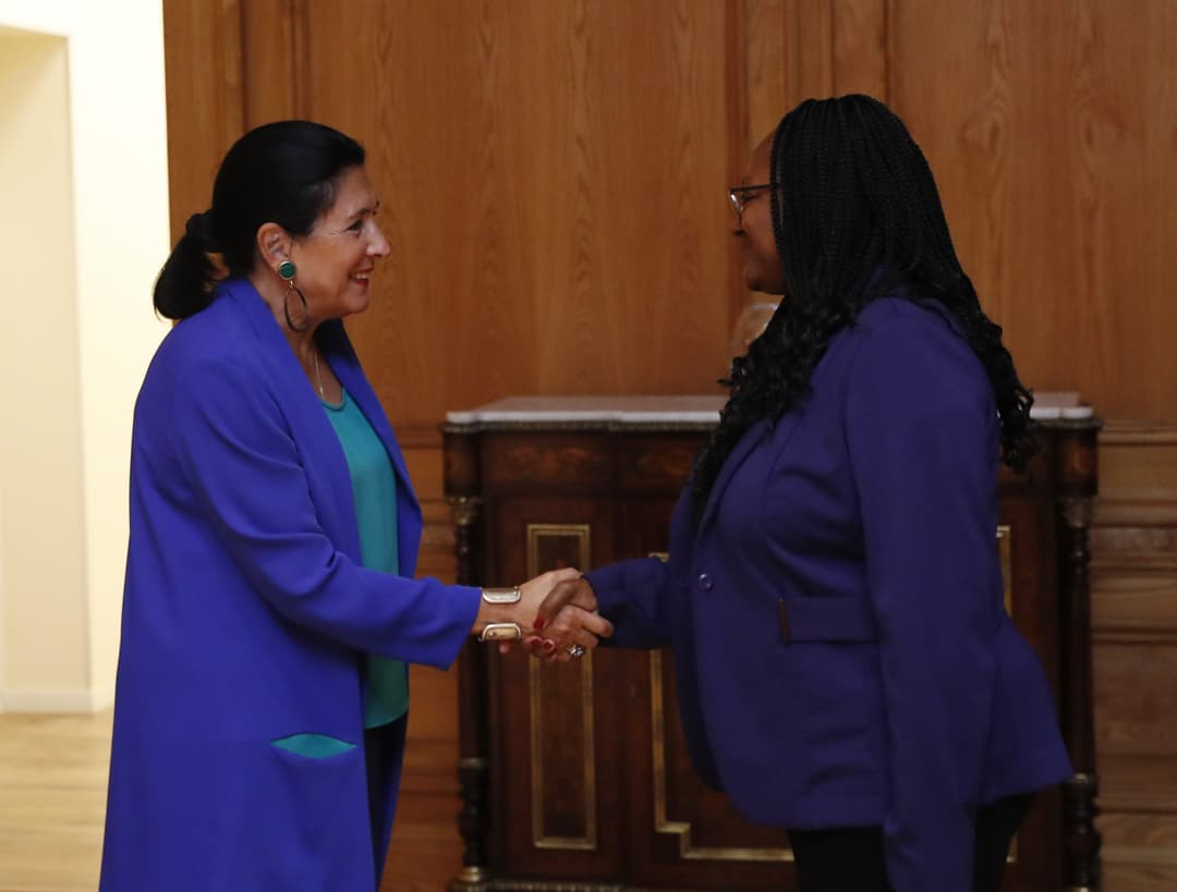 სალომე ზურაბიშვილმა აშშ-ის სახელწმიფო მდივნის მოადგილესთან ქვეყანაში და რეგიონში მიმდინარე პროცესები განიხილა