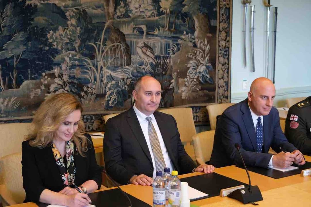 ჯუანშერ ბურჭულაძემ შვედეთის პარლამენტში შეხვედრა გამართა