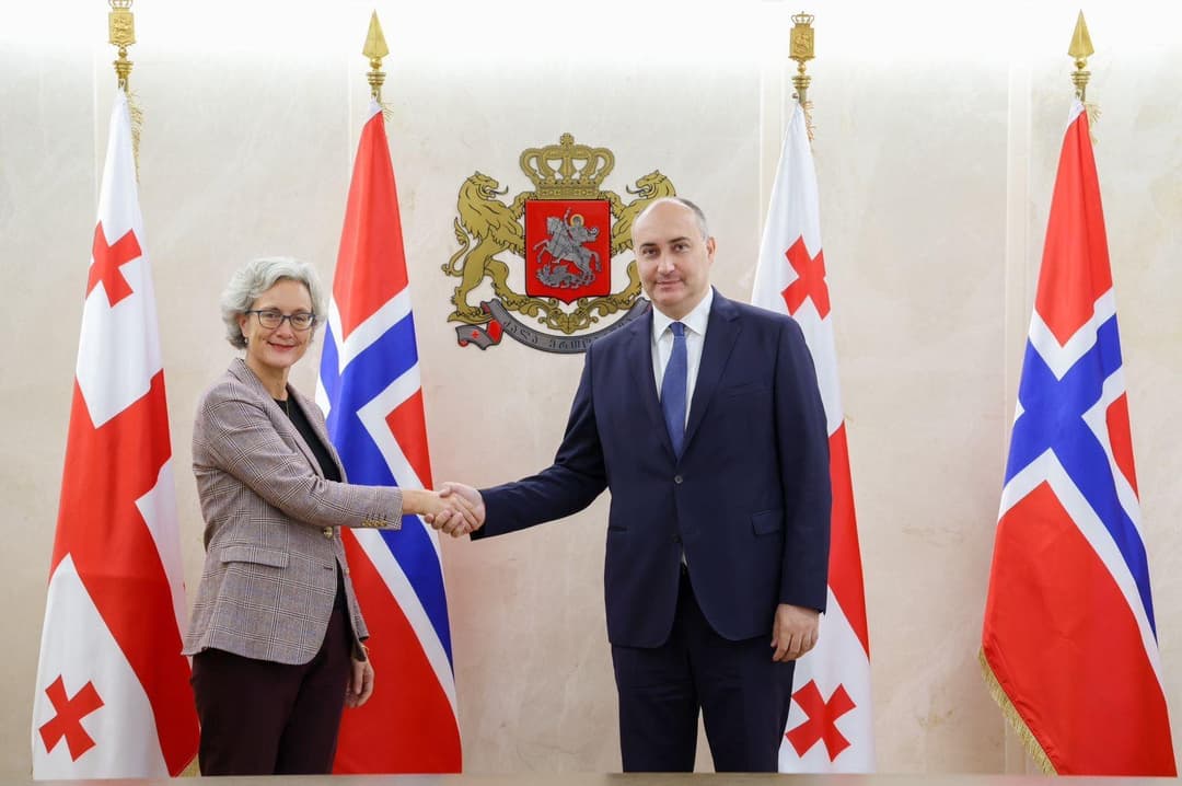 ჯუანშერ ბურჭულაძე ნორვეგიის ახალ ელჩს შეხვდა