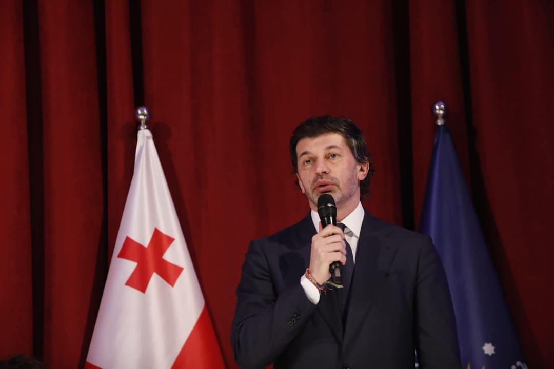 კახა კალაძე – სტრასბურგში გვარამიას მასპინძლები არ არიან საქართველოს მეგობრები