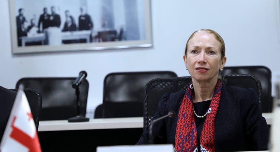 კელი დეგნანი – “გავრილოვის ღამე”, შეუსრულებელი პოლიტიკური დაპირებები და ანტიდემოკრატიული ქმედებები – აქედან წამოვიდა ღრმა პოლარიზაცია და არა დასავლელი პარტნიორებისგან