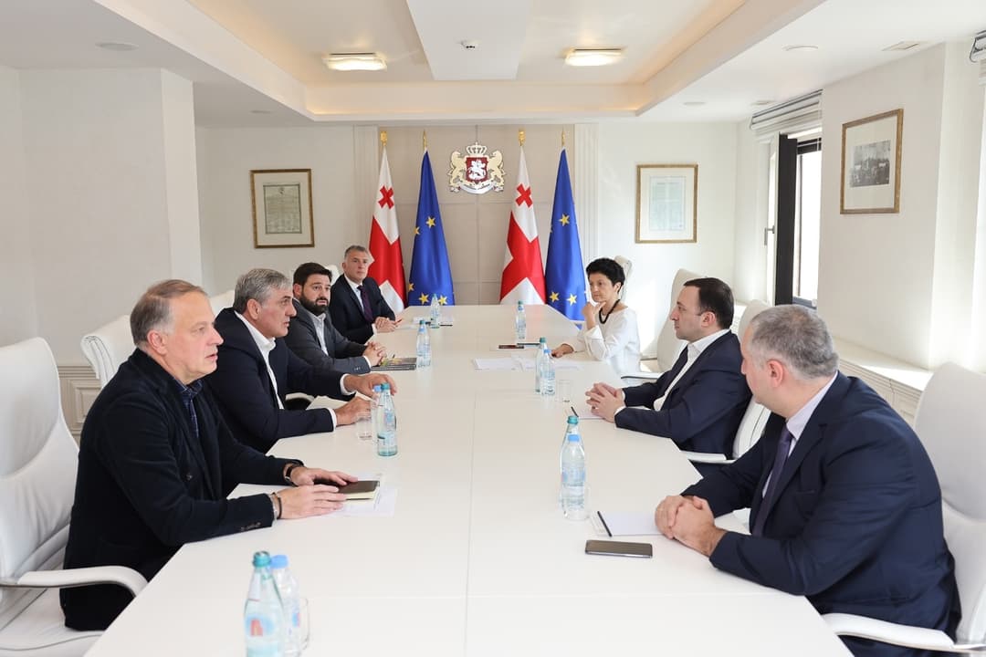 ირაკლი ღარიბაშვილი ლერი ხაბელოვს შეხვდა