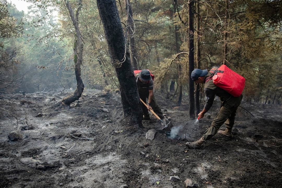 ბორჯომის ხეობაში ხანძრის ქრობის პროცესი დასკვნით ეტაპზე გადავიდა