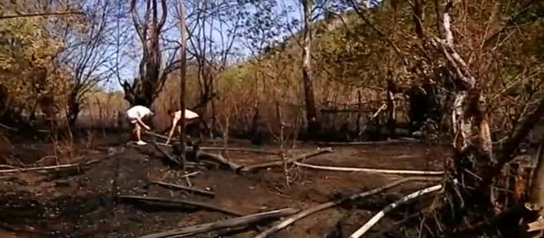 ძამას ხეობაში ხანძრის შედეგად რამდენიმე სახლი დაიწვა