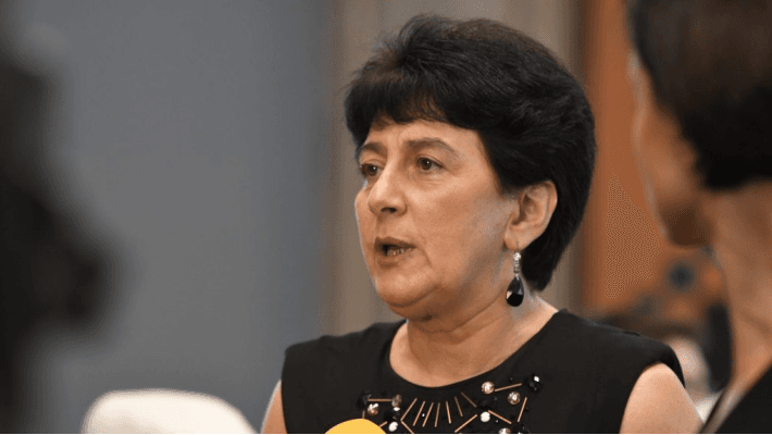 ქეთი ხუციშვილი – ეს აშკარად პროპაგანდისტული ტრიუკია, რომ შესაძლო წარუმატებლობა ვინმე სხვას დააბრალონ