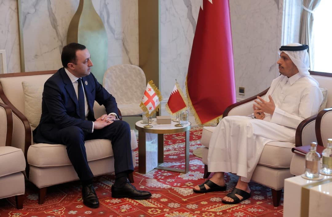 Georgian PM discusses economic prospects with his Qatari counterpart