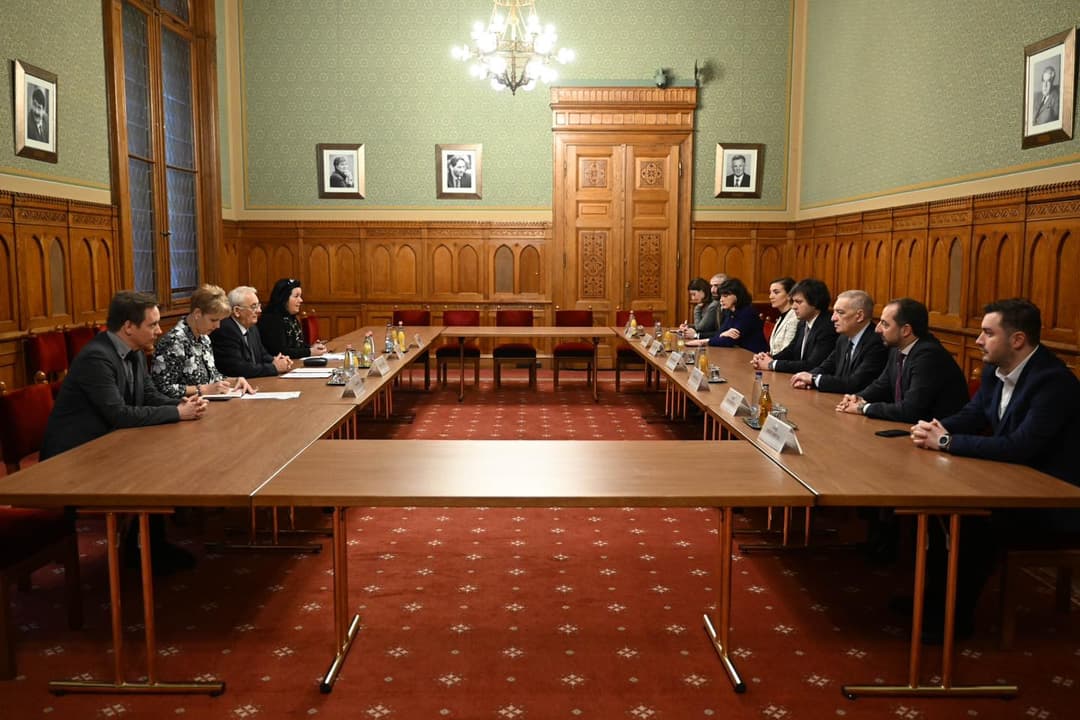 ირაკლი კობახიძე უნგრეთის ეროვნული ასამბლეის ვიცე-სპიკერს შეხვდა